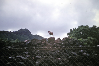 Philip E. Rosenberg slides -- Hawaii