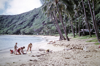 Philip E. Rosenberg slides -- Hawaii - peacock