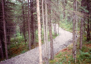5 0kd. Alaska trail
