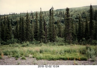 12 102. Alaska trip