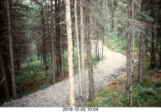 16 102. Alaska trip - morning run