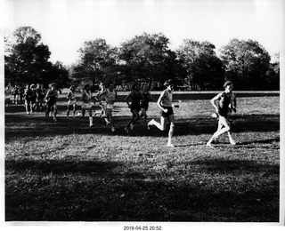 Princeton XC - Steve Ross