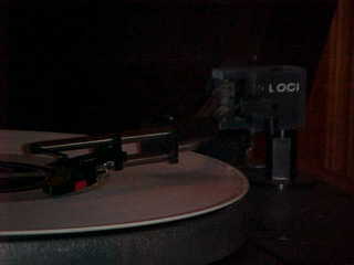 Linn/LOCI, blurry, head-on