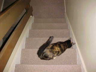 Tom Grey walking down stairs outside Design Computation