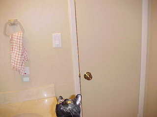 Downstairs powder room.