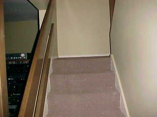 Tom Grey walking down stairs outside Design Computation