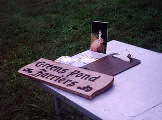 Shore AC XC Greens Pond Harriers sign