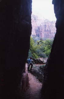Zion narrow canyon