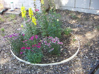 flowers at Lee place