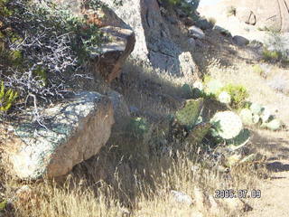 Bagdad, Arizona, run