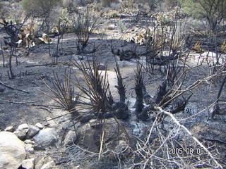 Bagdad, Arizona, run -- fire damage
