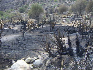 Bagdad, Arizona, run -- fire damage