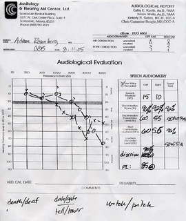 Grand Canyon aviation chart 1