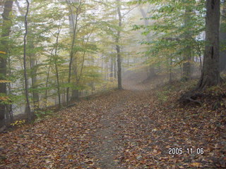 Pennypack Park -- foggy fall morning
