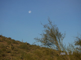 Lorimar Park -- winter wonderland run