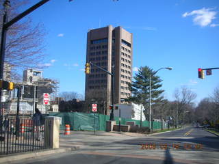 Princeton museum skeleton