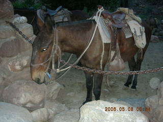 Phantom Ranch -- hanging my stuff to dry