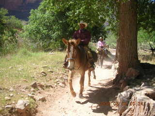 Plateau Point -- Mighty Colorado River -- Adam