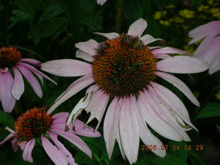 flags on Ben Franklin Parkway in Philadelphia