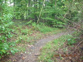 Princeton University