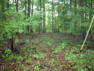 Princeton University