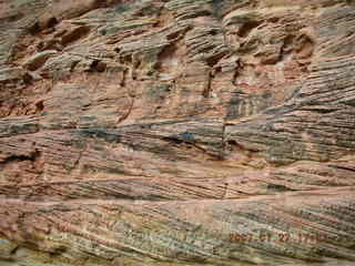 Zion National Park - Observation Point hike