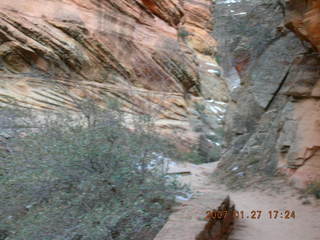 Zion National Park - Observation Point hike - Nancy