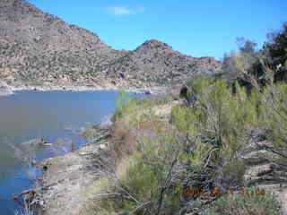 Bagdad run - saguaro cactus