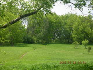 Carver Park meadow