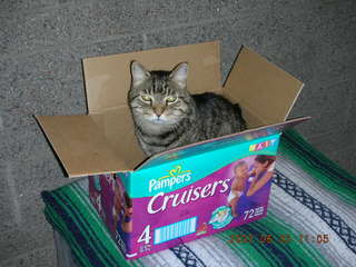 Khimetrics celebration -- Gary and Jackie