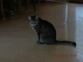 Khimetrics celebration -- Gary and Jackie