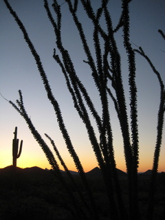 Sonia's pictures - desert at dawn - Lost Dog Wash