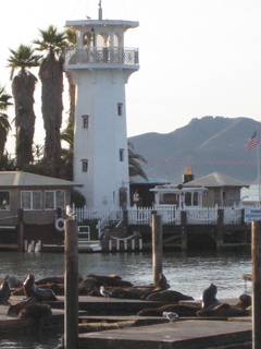 Sonia's U.S. pictures - San Francisco