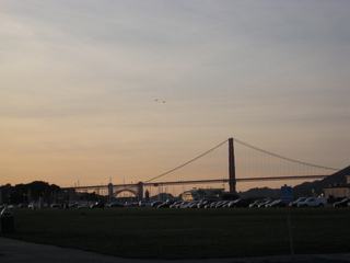 Sonia's U.S. pictures - San Francisco - seagulls in street
