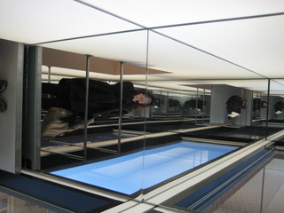 Sonia's U.S. pictures - San Francisco