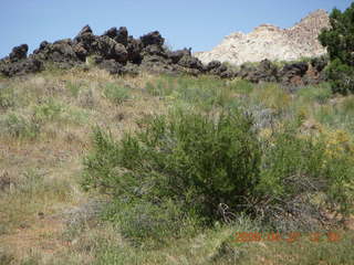 31 6gt. Snow Canyon - Butterfly trail