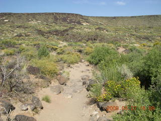 34 6gt. Snow Canyon - Butterfly trail