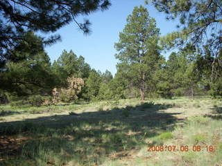 Adam flying to Flagstaff in N4372J