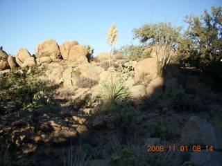 Bagdad Airport (E51) run