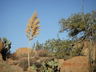 Bagdad run - Coors Lake