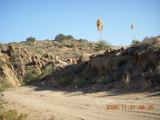 Bagdad run - duck on Coors Lake