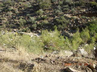 Bagdad run - stream at canyon bottom