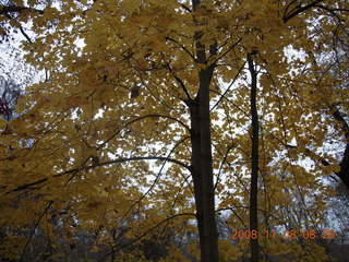 Pennypack Park run