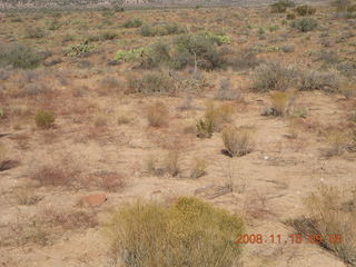 Verde Canyon - Sycamore Canyon Road run