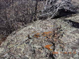 Black Canyon of the Gunnison National Park view