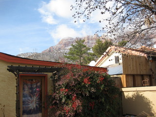 40 6qg. beth's Saturday zion-trip pictures - Springdale, Utah