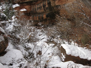 103 6qh. beth's Sunday zion-trip pictures - Zion National Park - Emerald Ponds hike