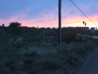 beth's pictures - Cave Creek mine hike - sunset red glow on the mountains