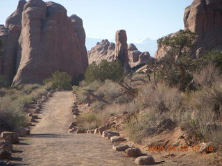 Arches National Park - Devil's Garden hike - bunny rabbit