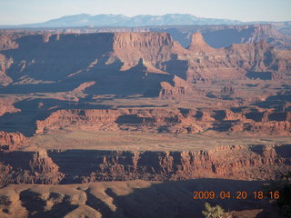 Dead Horse Point sunset hike - lizard